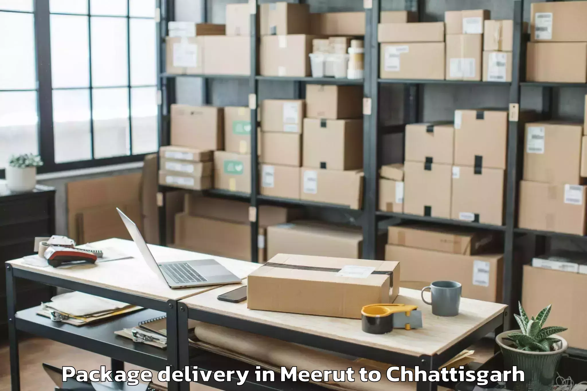 Trusted Meerut to Pithora Package Delivery